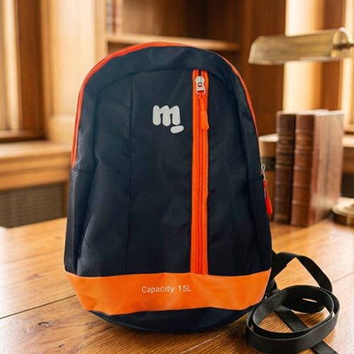 Untitled-2 (2) IMPORTED 15L CLASS / MINI BAGS(orange)